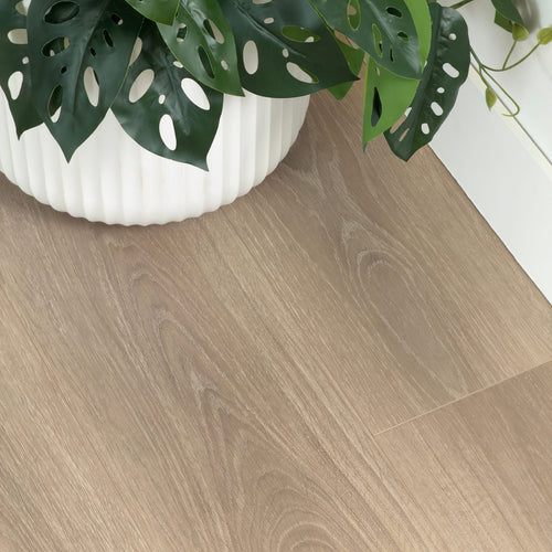 Ash Grey Laminate 12mm flooring