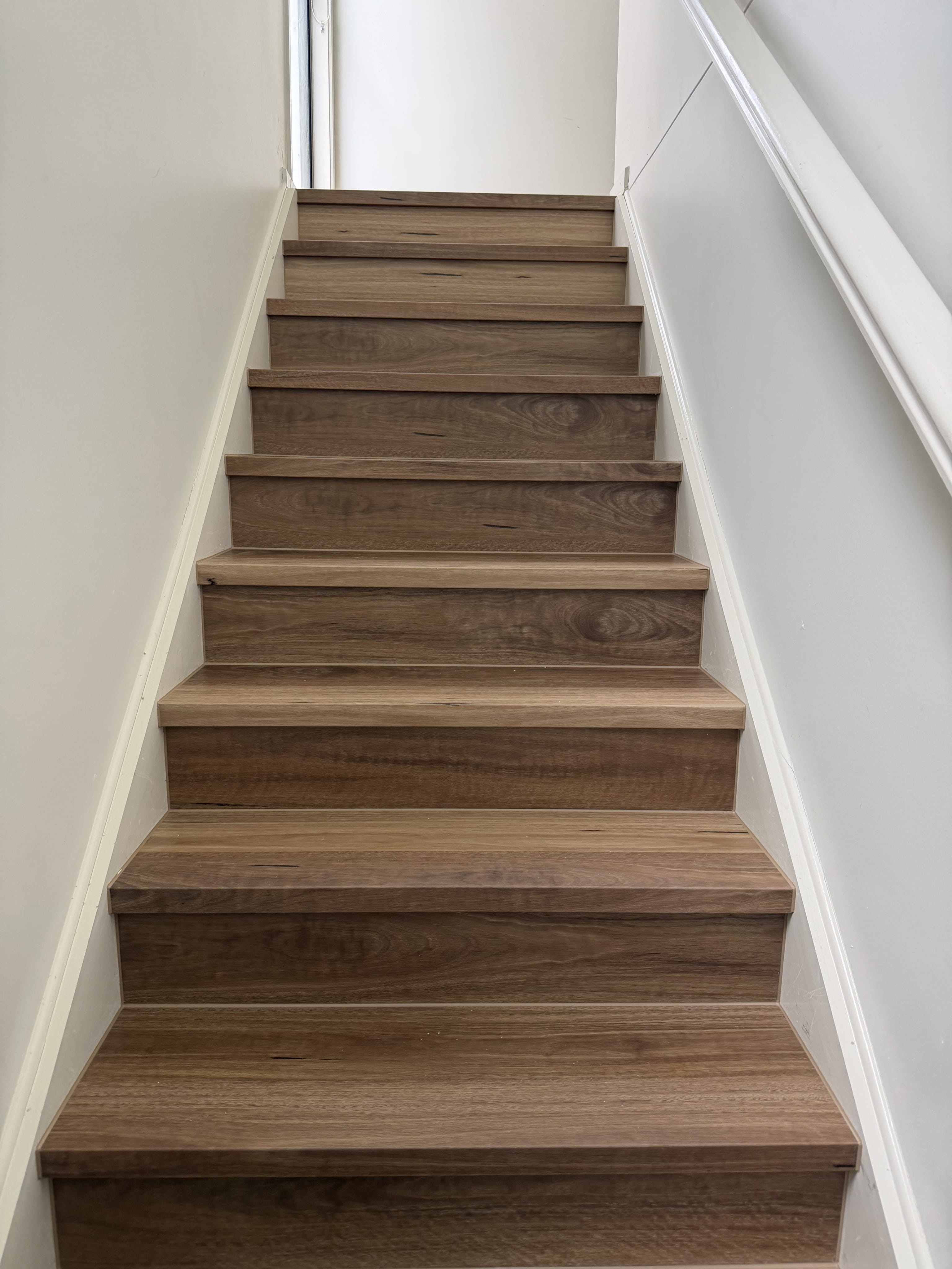 Installed room view of QLD Spotted Gum SPC 6.5mm SPC hybrid flooring sample