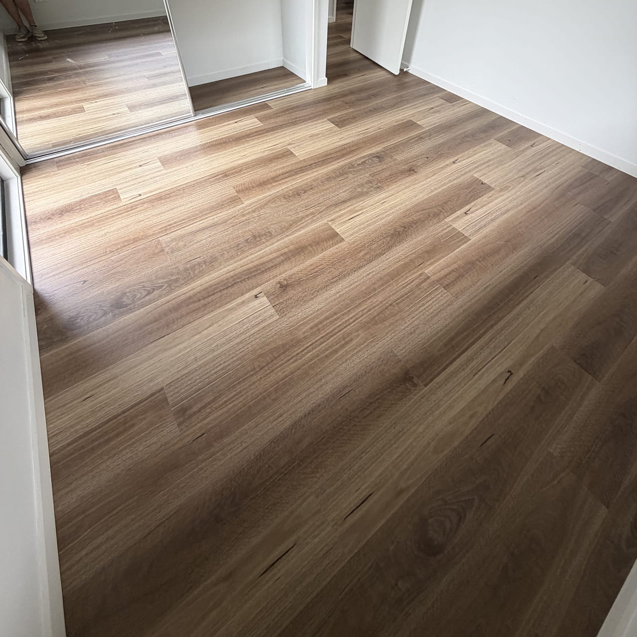 QLD Spotted Gum SPC 6.5mm