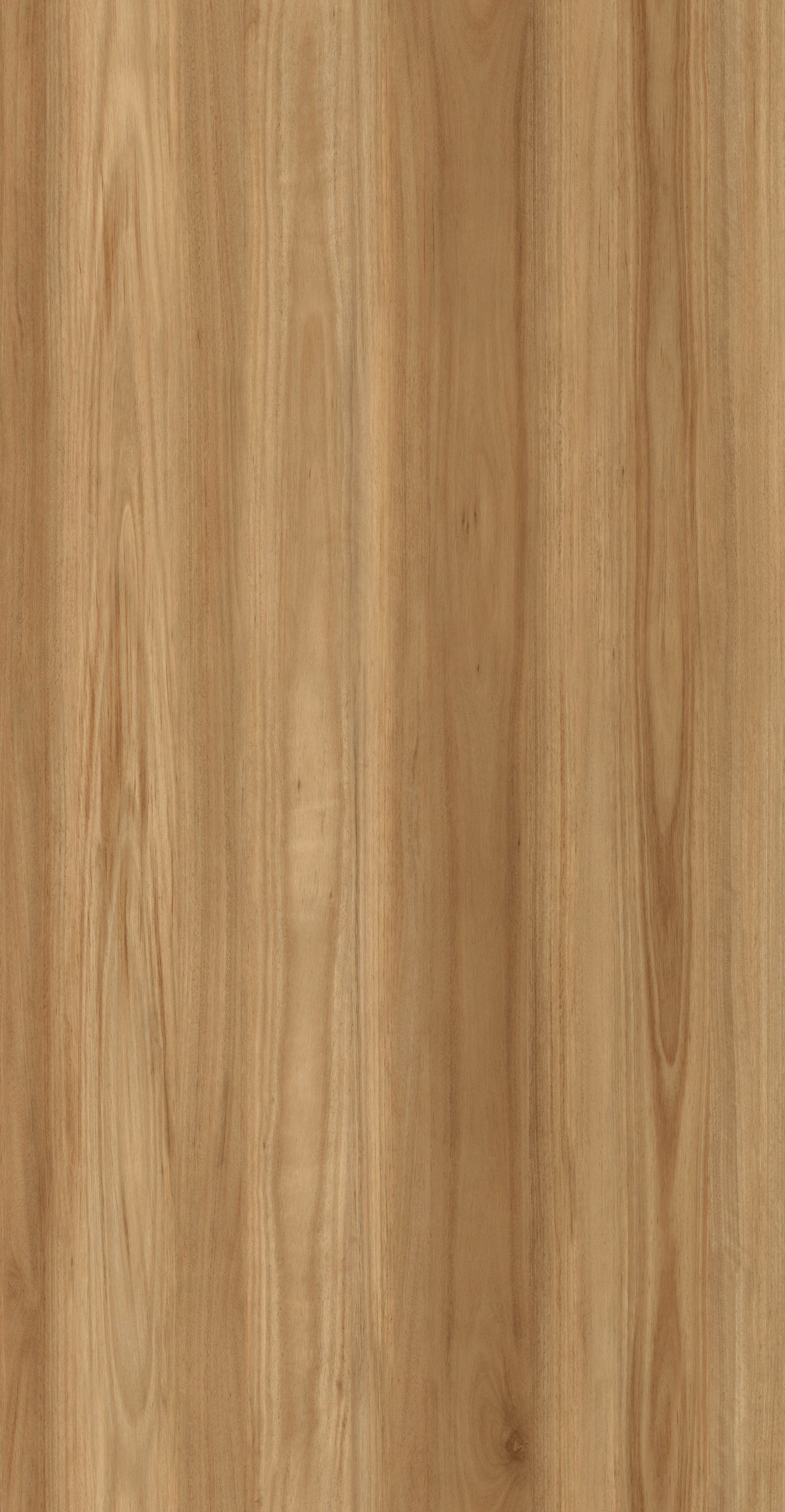 Coastal Blackbutt Vinyl Plank Flooring 2.5mm