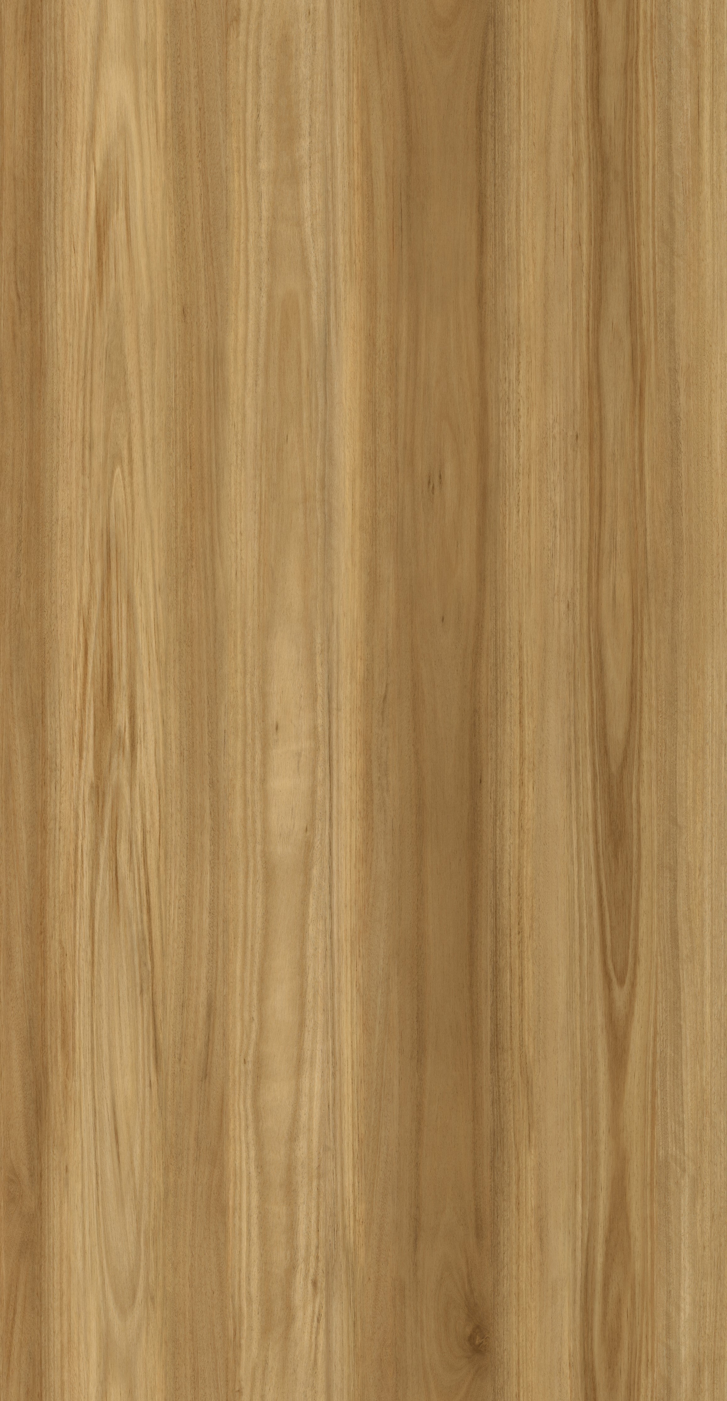 Blackbutt Vinyl Plank Flooring 4.5mm